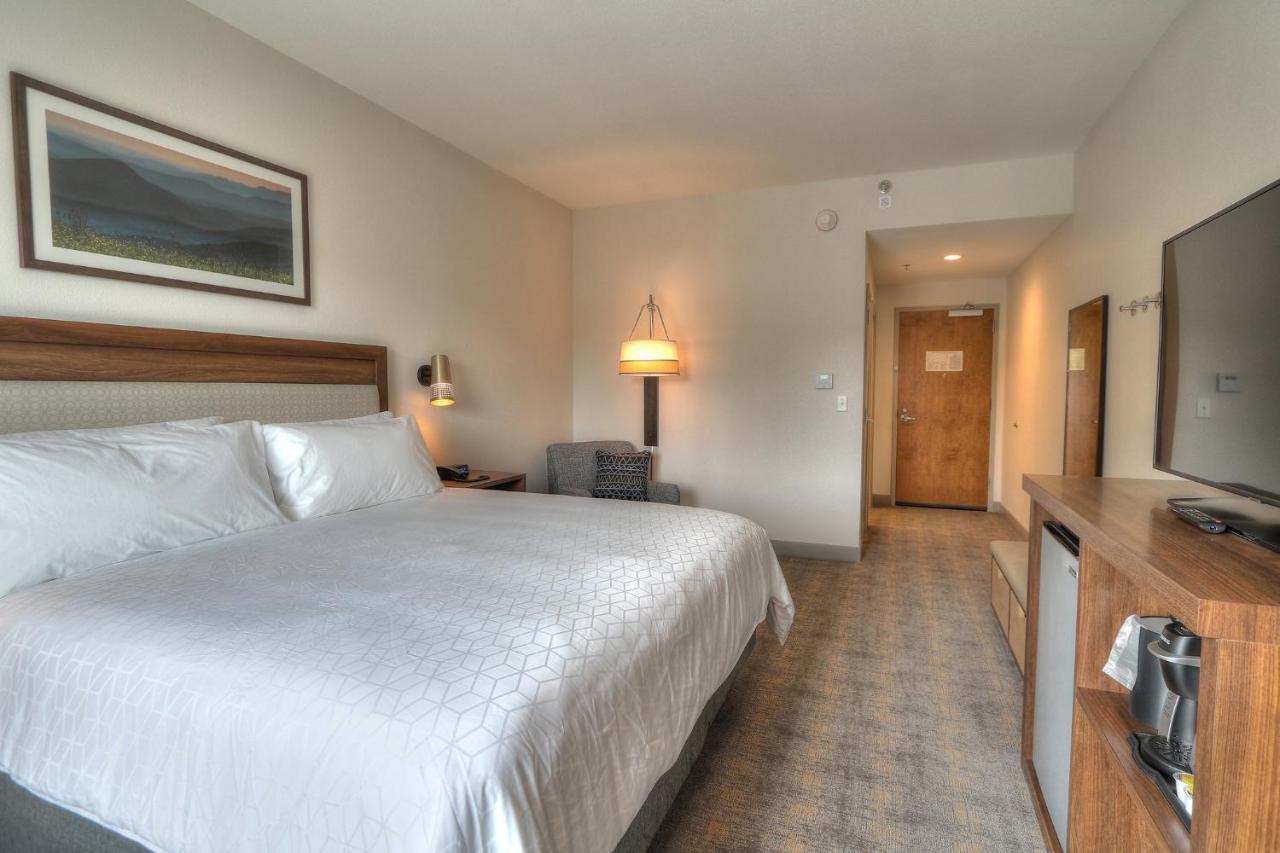 Holiday Inn&Suites - Pigeon Forge Convention Center, an IHG Hotel Buitenkant foto