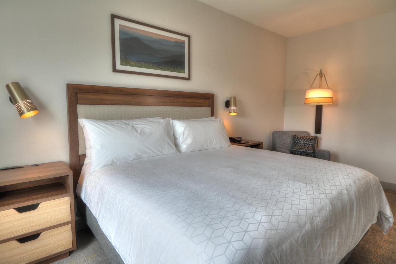 Holiday Inn&Suites - Pigeon Forge Convention Center, an IHG Hotel Buitenkant foto