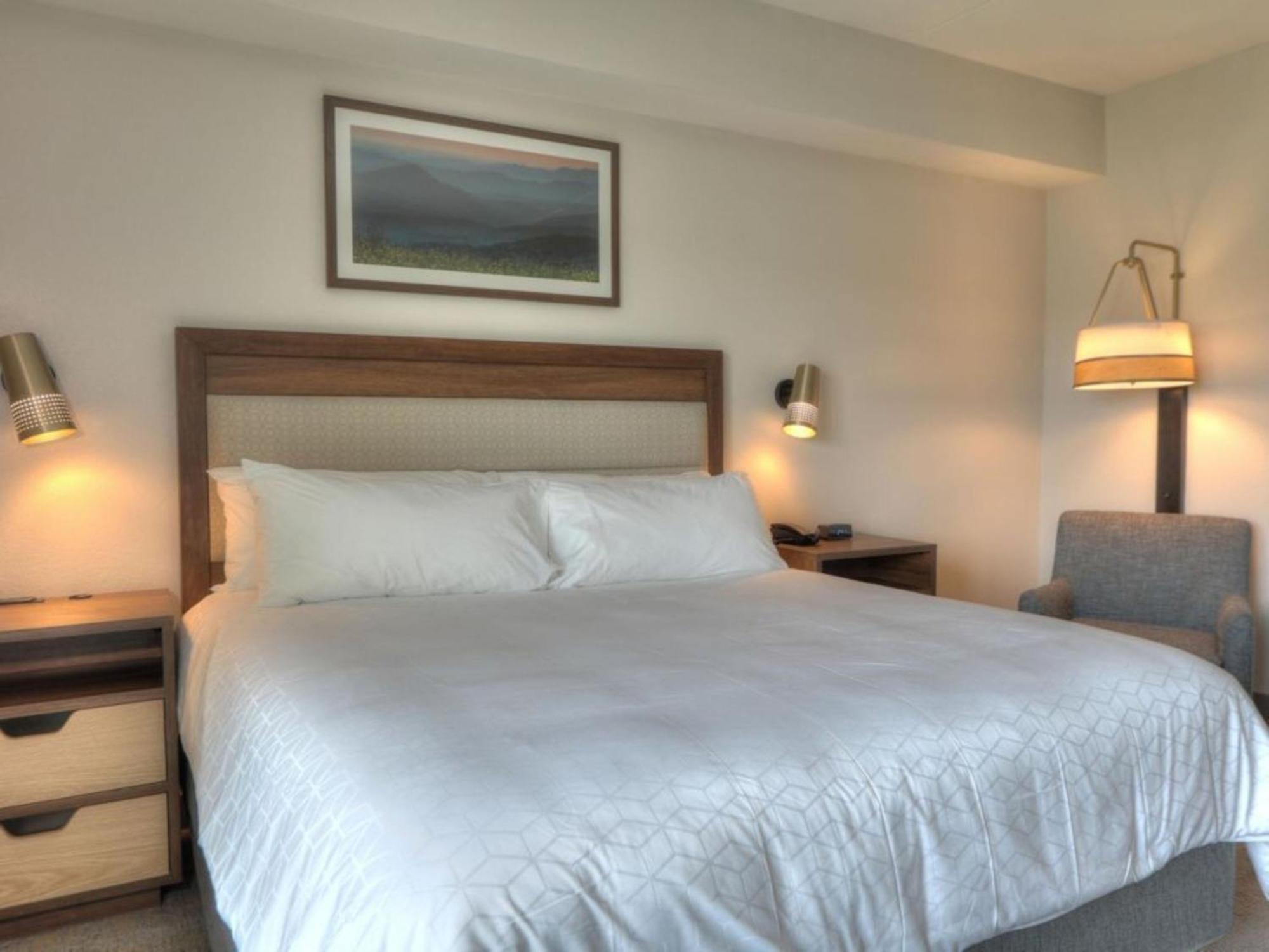 Holiday Inn&Suites - Pigeon Forge Convention Center, an IHG Hotel Buitenkant foto